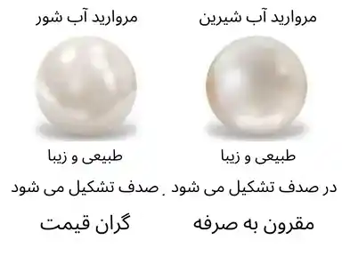 مروارید پرورشی